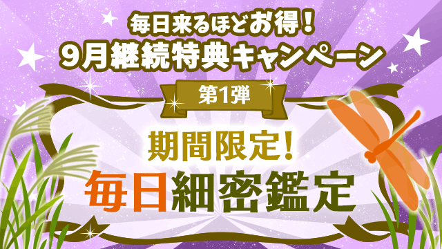 9月第1弾、期間限定！毎日細密鑑定