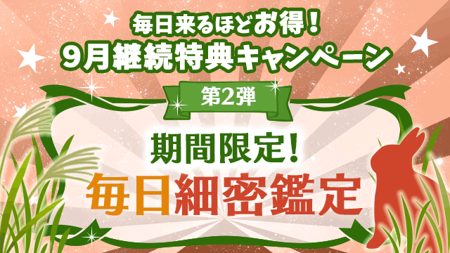 9月第2弾、期間限定！毎日細密鑑定