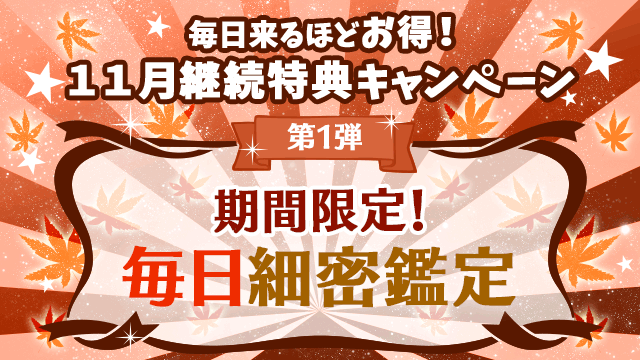 11月第1弾、期間限定！毎日細密鑑定