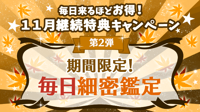 11月第2弾、期間限定！毎日細密鑑定