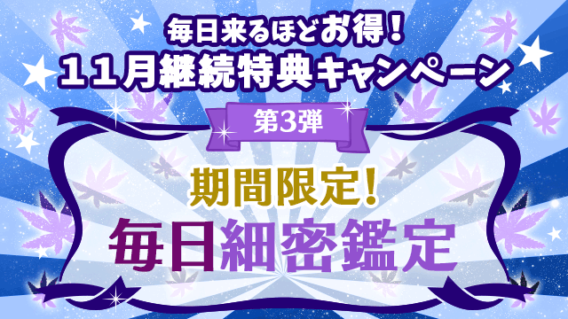 11月第3弾、期間限定！毎日細密鑑定