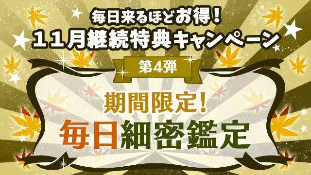 11月第4弾、期間限定！毎日細密鑑定