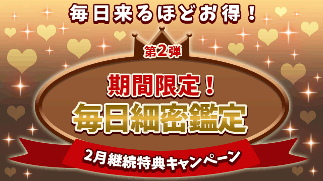 2月第2弾、期間限定！毎日細密鑑定