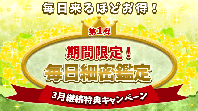 3月第1弾、期間限定！毎日細密鑑定