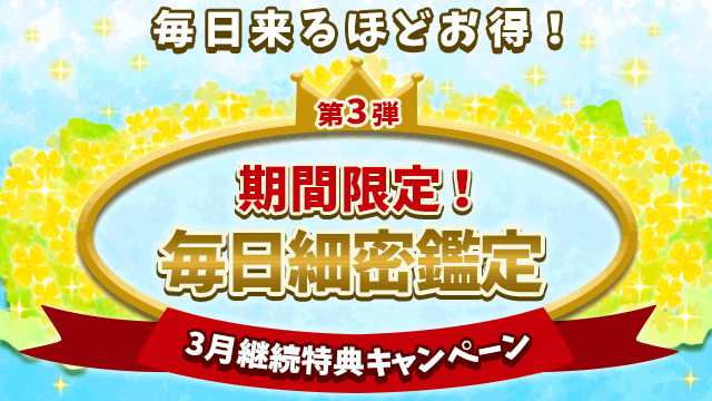 3月第3弾、期間限定！毎日細密鑑定