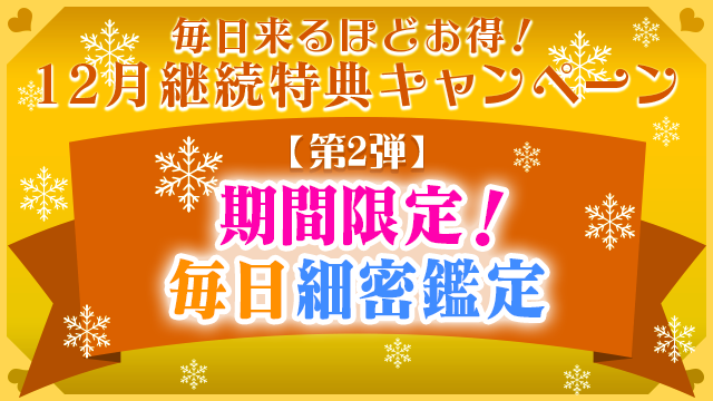 12月第2弾、期間限定！毎日細密鑑定